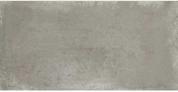 Baldocer Ceramica Grafton wand- en vloertegel 40x80cm Rechthoek 10mm gerectificeerd Betonlook Grey SW07310898-2 - Foto 1