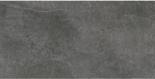 Baldocer Ceramica Zermatt wand- en vloertegel 60x120cm 9.5mm Rechthoek gerectificeerd Marmerlook Antraciet Mat SW07311791-2