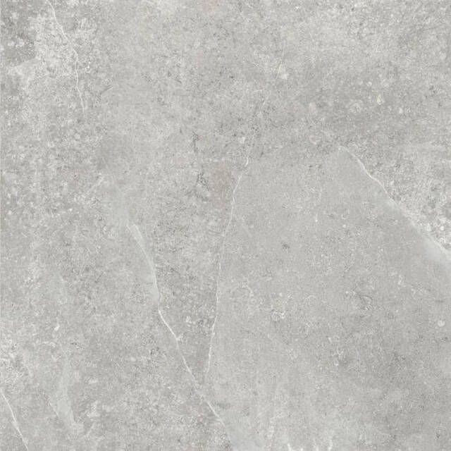 Baldocer Ceramica Zermatt wand- en vloertegel 60x60cm gerectificeerd Betonlook Acero mat (grijs) SW07311793