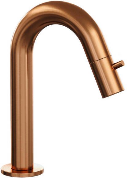 Brauer Opbouw Fonteinkraan Copper Edition Met Gebogen Uitloop Koper Geborsteld PVD - Foto 1