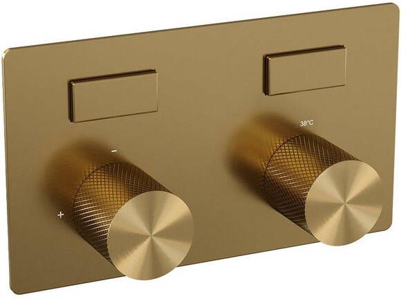 Brauer Gold Carving 2 functies inbouwthermostaat drukknoppen in afbouwdelen goud geborsteld PVD 5-GG-157