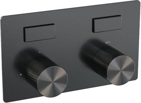 Brauer gunmetal Carving 2 functies inbouwthermostaat drukknoppen in afbouwdelen gunmetal geborsteld PVD 5-GM-157