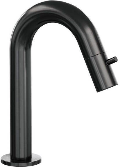 Brauer Opbouw Fonteinkraan Gunmetal Edition Met Gebogen Uitloop Gunmetal Geborsteld PVD