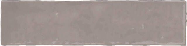 By Goof Moos wandtegel 6.5x26cm Taupe glans (bruin) SW07314476-3