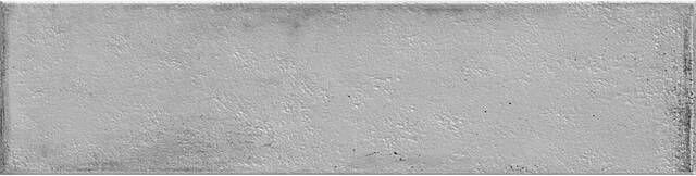 Cifre Ceramica Cifre Cerámica Mussa Voor wandtegel 30x7.5cm 8mm Grijs SW07315040-2