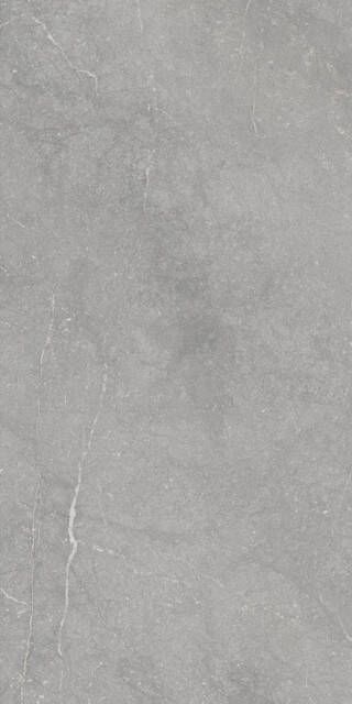 Cifre Ceramica Munich vloertegel 60x120cm gerectificeerd Natuursteen look Pearl mat (grijs) SW07314227-4