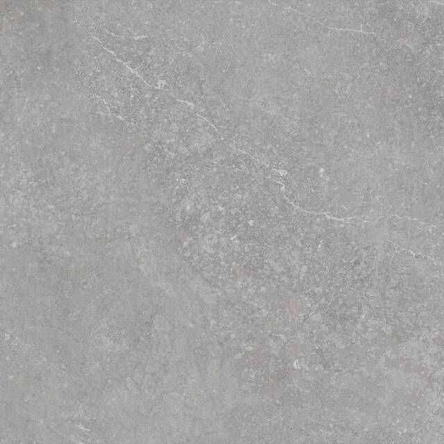 Cifre Ceramica Munich vloertegel 60x60cm gerectificeerd Natuursteen look Pearl mat (grijs) SW07314227-6