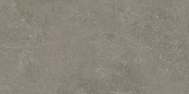 Cifre Ceramica Munich wand- en vloertegel 60cm gerectificeerd Natuursteen look Taupe mat (bruin) SW07314225-3