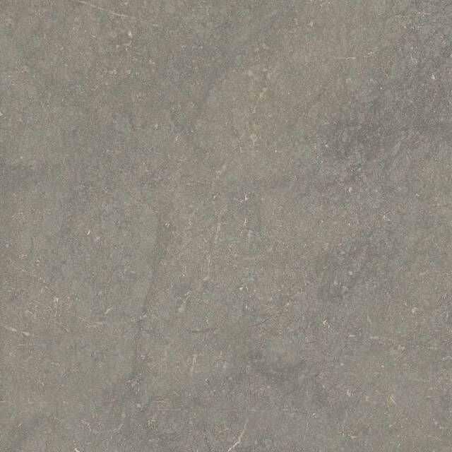 Cifre Ceramica Munich wand- en vloertegel 60x60cm gerectificeerd Natuursteen look Taupe mat (bruin) SW07314225-6