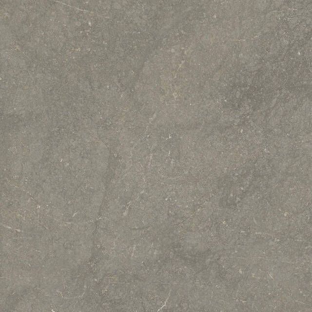 Cifre Ceramica Munich wand- en vloertegel 60x60cm gerectificeerd Natuursteen look Taupe mat (bruin) SW07314225-5