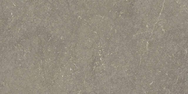 Cifre Ceramica Munich wandtegel 25x50cm Natuursteen look Taupe mat (bruin) SW07314225-10