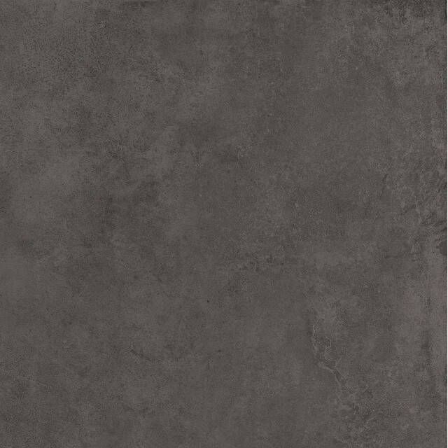Cifre Ceramica Nexus buitentegel 60x60cm gerectificeerd Betonlook Antracite mat (antraciet) SW07310450-7