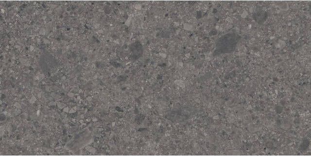 Cifre Ceramica Reload wand- en vloertegel 60x120cm Terrazzo Antracite mat (antraciet) SW07312482-1