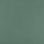 CIPA GRES Colourstyle wand- en vloertegel 10x10cm 7.2mm Vierkant gerectificeerd Groen mat SW07312150-10 - Thumbnail 1