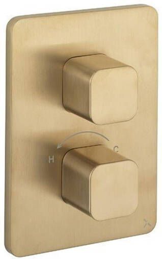 Crosswater Atoll Thermostatische Crossbox inbouw met afbouwdeel 2 functies geborsteld messing ATCB1500LBPF CROSSBOX
