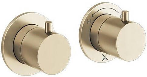 Crosswater MPRO Module Douchekraan 2 functies messing geborsteld PROMODDIVLBPF