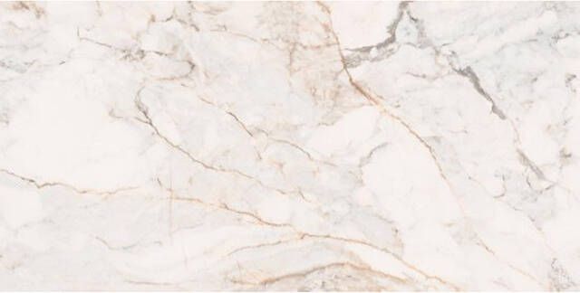 Douglas Jones Marbles Vloer- en wandtegel 60x120cm 10.5mm gerectificeerd porcellanato Gold 1737201