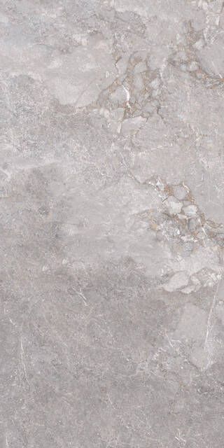 Edimax Astor Golden Age wand- en vloertegel 60x120cm 10mm Rechthoek gerectificeerd Marmerlook Grijs Mat SW07312064-1