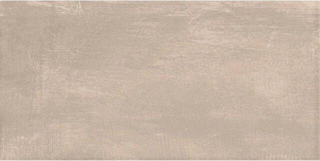 EnergieKer Loft Vloer en wandtegel 60x120cm gerectificeerd taupe mat SW07310617-5