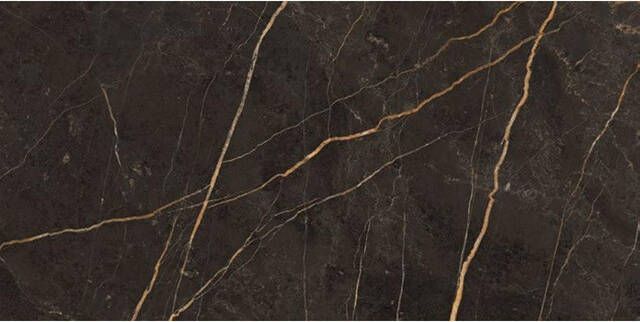 EnergieKer Saint Laurent wand- en vloertegel 30x60cm gerectificeerd Natuursteen look Laurent polished gepolijst (antraciet) SW07314484-4