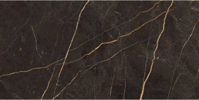 EnergieKer Saint Laurent wand- en vloertegel 30x60cm gerectificeerd Natuursteen look Laurent mat (antraciet) SW07314486-3