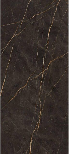 EnergieKer Saint Laurent wand- en vloertegel 60x120cm gerectificeerd Marmerlook Laurent mat (zwart) SW07314486-2