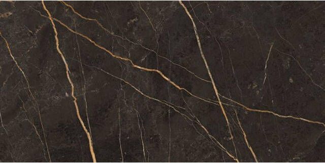 EnergieKer Saint Laurent wand- en vloertegel 60x120cm gerectificeerd Natuursteen look Laurent polished gepolijst (antraciet) SW07314484-2