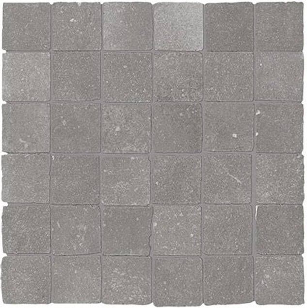 Fap Ceramiche Maku vloertegel 30x30cm Natuursteen look Grey mat (grijs) SW0731202-1