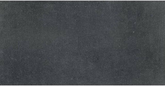 Fap Ceramiche Maku vloertegel 30x60cm Natuursteen look Dark mat (antraciet) SW07310927