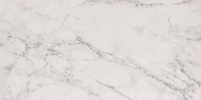 Fap Ceramiche Roma Stone Carrara Delicato mat 60x120 rett SW07314405-1