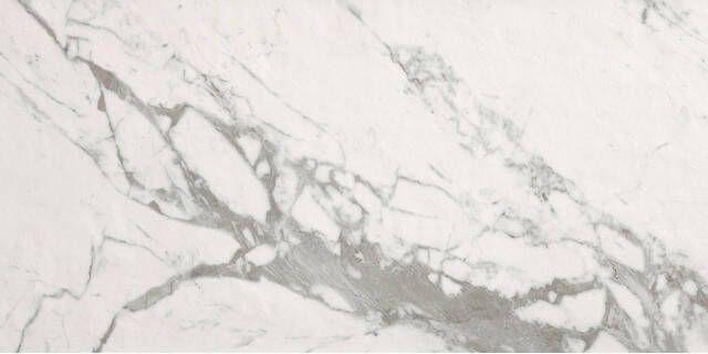 Fap Ceramiche Roma Stone Carrara Superiore wandtegel mat 80x160 rett SW07314402
