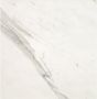 Fap Ceramiche wand- en vloertegel 60x60cm 10mm Vierkant gerectificeerd Marmerlook Wit zwart mat SW07310509-5 - Thumbnail 1