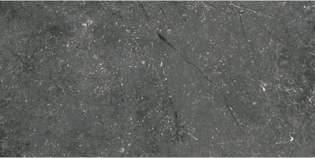 Floorgres Stontech 4.0 Vloer- en wandtegel 30x60cm 10mm gerectificeerd R10 porcellanato Stone 06 1644204