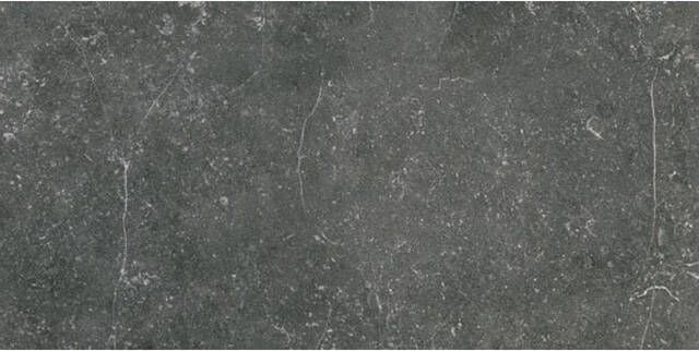 Floorgres Stontech 4.0 Vloer- en wandtegel 30x60cm 10mm gerectificeerd R9 porcellanato Stone 06 1644205