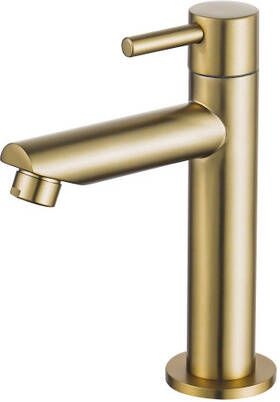 Fortifura Calvi Fonteinkraan 14.4cm opbouw 1gats Geborsteld Messing PVD (Goud) SW696238