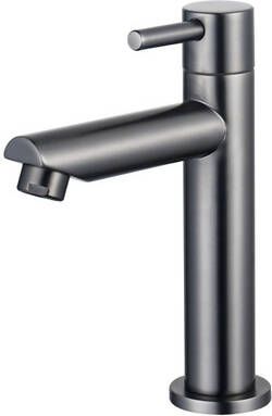 Fortifura Calvi Fonteinkraan 15.4cm opbouw 1 gats PVD geborsteld Gunmetal PVD SW696239