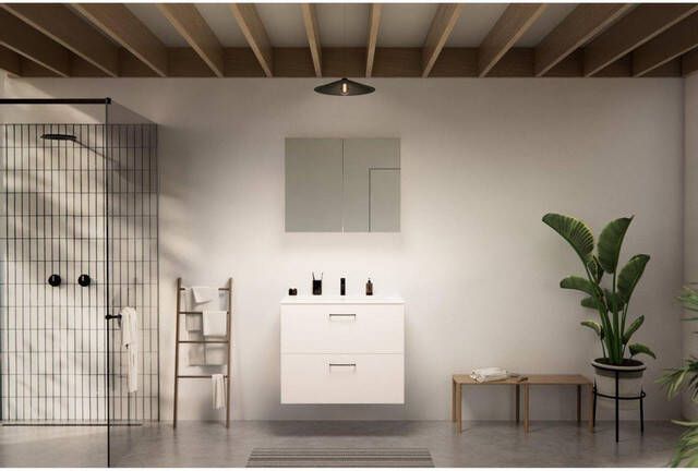 GO by Van Marcke badkamermeubelset 80x65x45.5cm 2 lades met grepen 1 wasbak wit mat 1 kraangat met spiegelkast MDF standard white SW796974 SW404481 SW451959 SW452449 SW4522