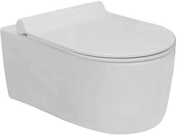 GO by Van Marcke Fleet wandcloset pack softclose takeoff design toiletzitting in duroplast wit