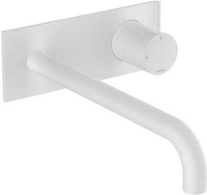 Hotbath Inbouw Wastafelkraan Met Achterplaat Cobber 25 cm Gebogen Uitloop 1-Hendel Mat Wit