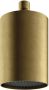 Hotbath Cobber Beam velvet hoofddouche met plafondbevestiging BBP Geborsteld Messing PVD CB472BBP - Thumbnail 1