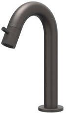 Ivy Concord Fonteinkraan gebogen opbouw laag RVS316 geborsteld carbon black PVD 6401064