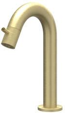 Ivy Concord Fonteinkraan gebogen opbouw laag RVS316 geborsteld mat goud PVD 6401062