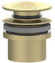 IVY Design Afvoerplug klikwaste RVS316 geborsteld mat goud PVD 6901762 - Foto 1