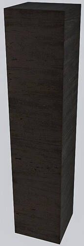 Mondiaz Beam hoge kolomkast 160x35x35cm met 2 deuren Dark Brown