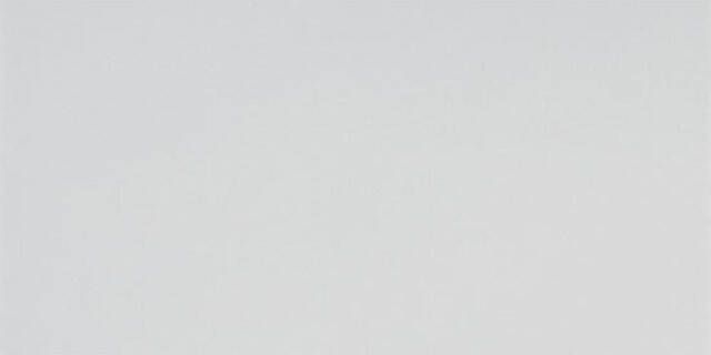 Mosa Murals Fuse Wandtegel 15x30cm 7mm witte scherf Light Cool Grey #4 1449363