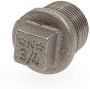 Nefit Industrial draadfitting met 1 aansluiting glad zw 290 gietijzer le 48mm plug - Thumbnail 1