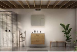 Nemo Go badkamermeubelset 80x65x45.5cm 2 lades met grepen 1 wasbak wit mat 1 kraangat met spiegelkast MDF standard white SW796974 SW404481 SW451959 SW452449 SW4522
