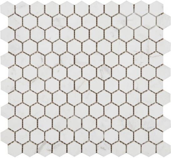 Ore Cerami Hexagon mozaïektegel 29.5x29.5cm 7mm vorstbestendig wit Mat per stuk 1336372 online kopen