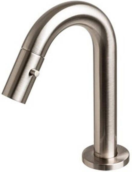 Plieger Lupo 2.0 toiletkraan geborsteld chroom 4333090 S