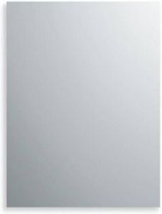 Plieger spiegel rechthoekig 5mm 130x80cm 311020 0800128
